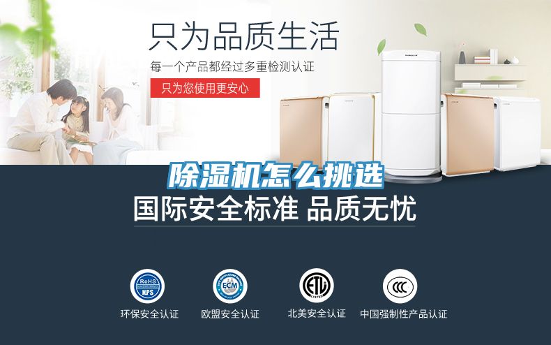 MR.好色破解版怎么挑选