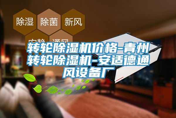 转轮MR.好色破解版价格-青州转轮MR.好色破解版-安适德通风设备厂