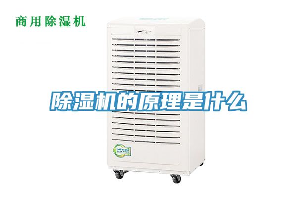 MR.好色破解版的原理是什么