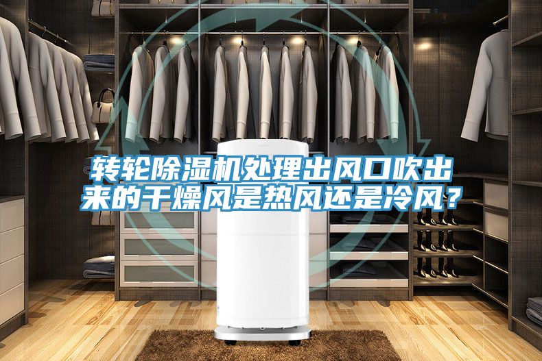转轮MR.好色破解版处理出风口吹出来的干燥风是热风还是冷风？