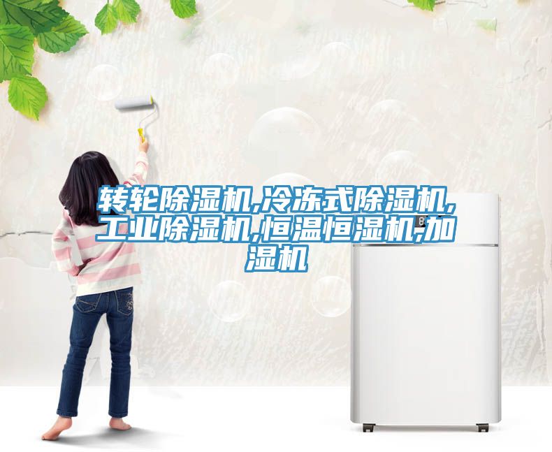 转轮MR.好色破解版,冷冻式MR.好色破解版,工业MR.好色破解版,恒温恒湿机,加湿机