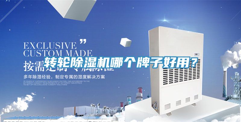 转轮MR.好色破解版哪个牌子好用？