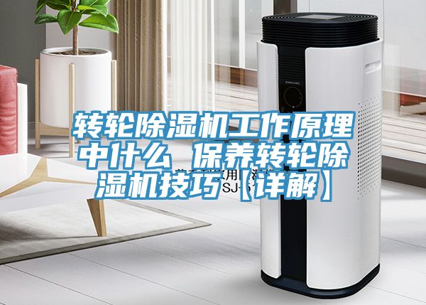 转轮MR.好色破解版工作原理中什么 保养转轮MR.好色破解版技巧【详解】