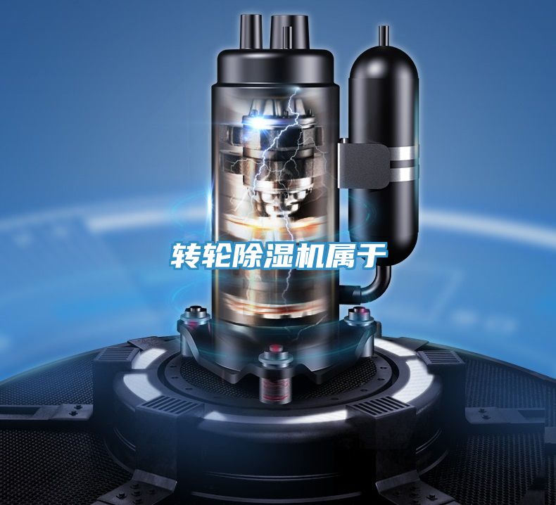 转轮MR.好色破解版属于