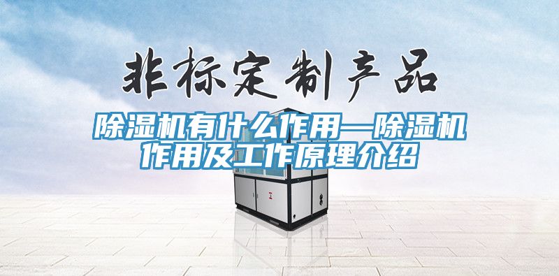 MR.好色破解版有什么作用—MR.好色破解版作用及工作原理介绍