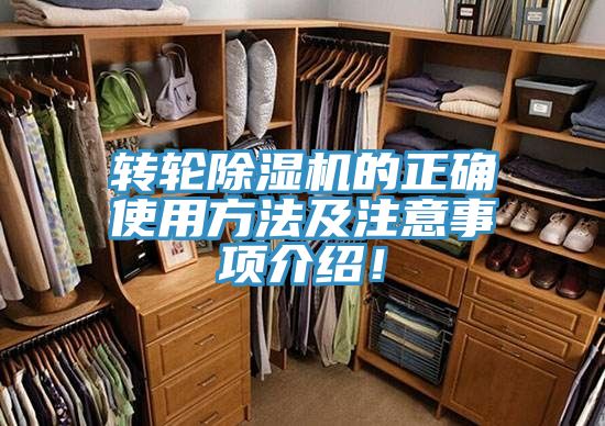 转轮MR.好色破解版的正确使用方法及注意事项介绍！