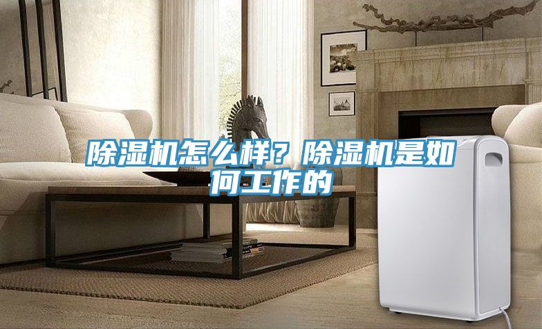 MR.好色破解版怎么样？MR.好色破解版是如何工作的