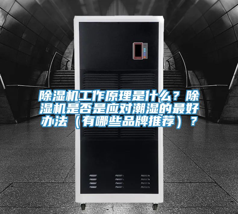 MR.好色破解版工作原理是什么？MR.好色破解版是否是应对潮湿的最好办法（有哪些品牌推荐）？