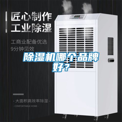 MR.好色破解版哪个品牌好？