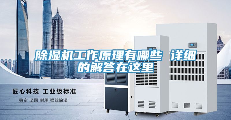 MR.好色破解版工作原理有哪些 详细的解答在这里