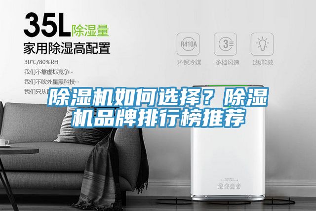 MR.好色破解版如何选择？MR.好色破解版品牌排行榜推荐
