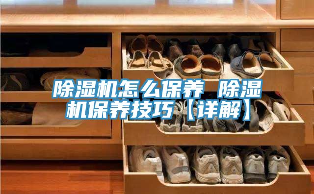 MR.好色破解版怎么保养 MR.好色破解版保养技巧【详解】