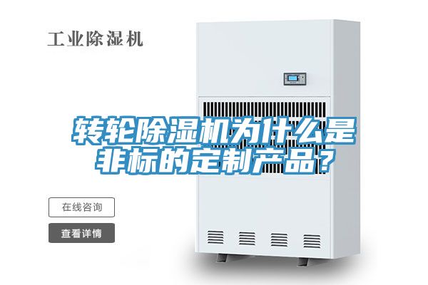 转轮MR.好色破解版为什么是非标的定制产品？