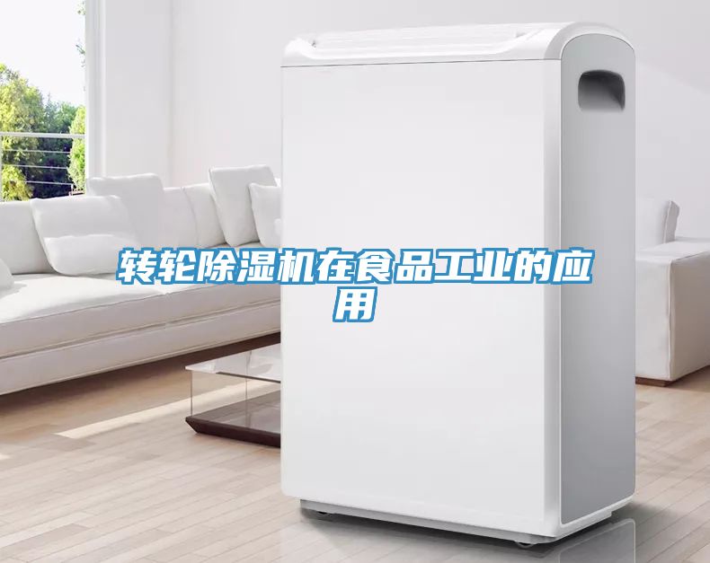 转轮MR.好色破解版在食品工业的应用