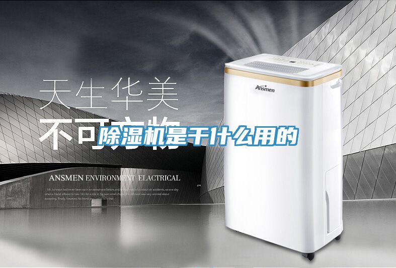 MR.好色破解版是干什么用的