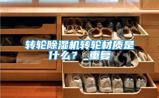转轮MR.好色破解版转轮材质是什么？_重复
