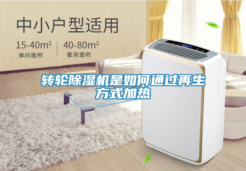 转轮MR.好色破解版是如何通过再生方式加热