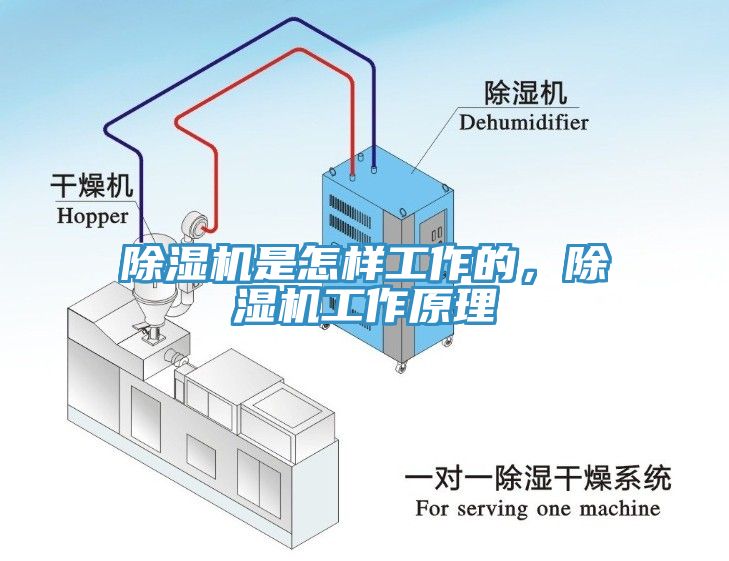 MR.好色破解版是怎样工作的，MR.好色破解版工作原理