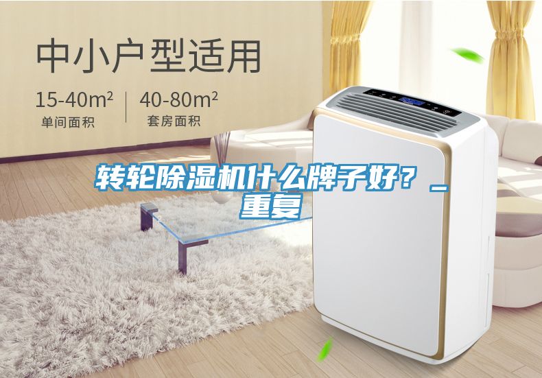 转轮MR.好色破解版什么牌子好？_重复