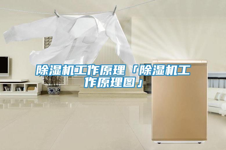 MR.好色破解版工作原理「MR.好色破解版工作原理图」