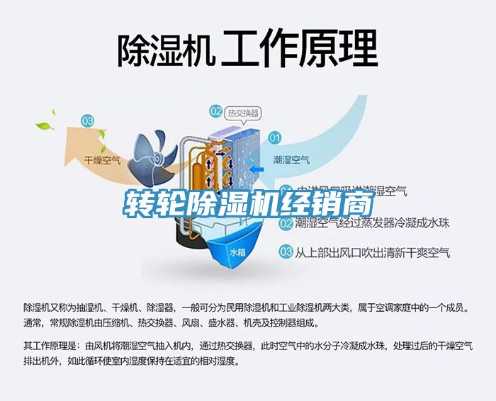 转轮MR.好色破解版经销商