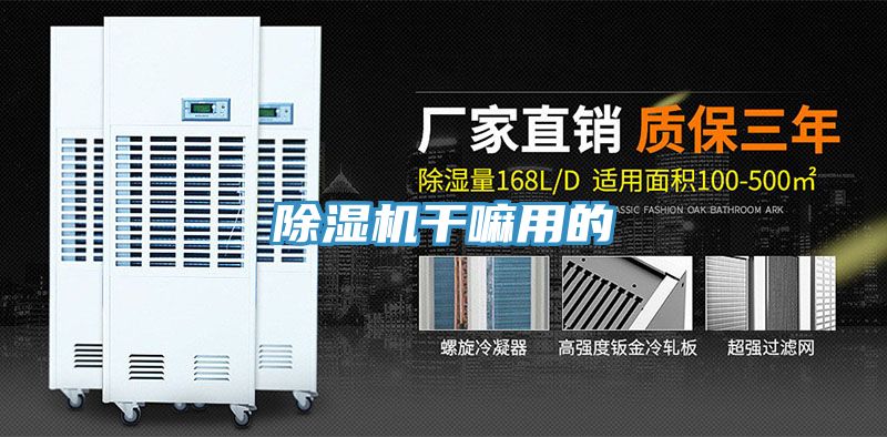 MR.好色破解版干嘛用的