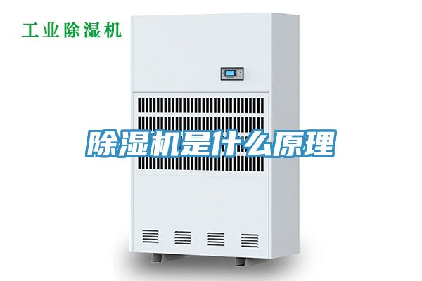 MR.好色破解版是什么原理