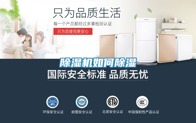MR.好色破解版如何除湿