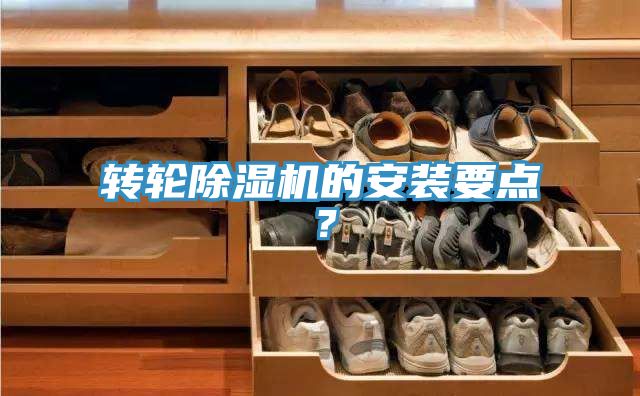 转轮MR.好色破解版的安装要点？