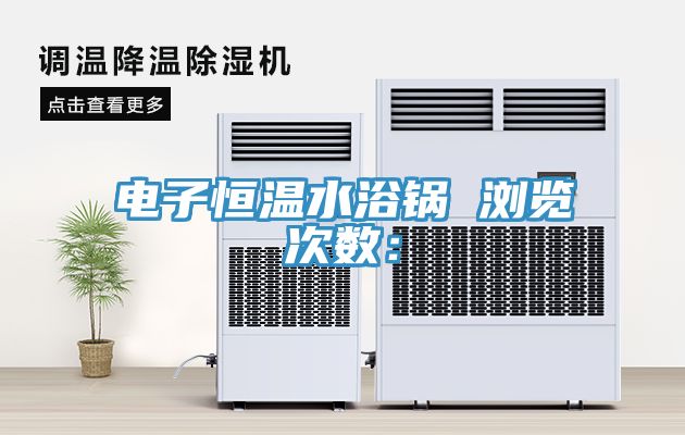 电子恒温水浴锅　　浏览次数：