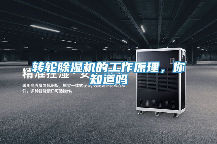 转轮MR.好色破解版的工作原理，你知道吗
