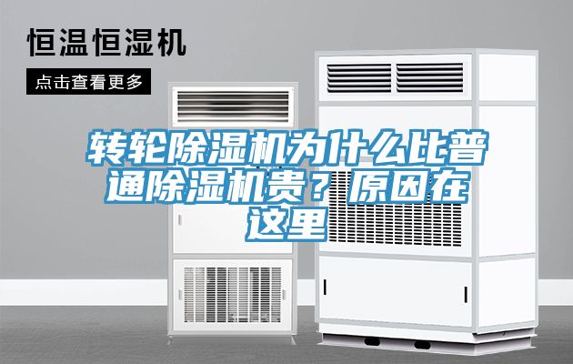 转轮MR.好色破解版为什么比普通MR.好色破解版贵？原因在这里