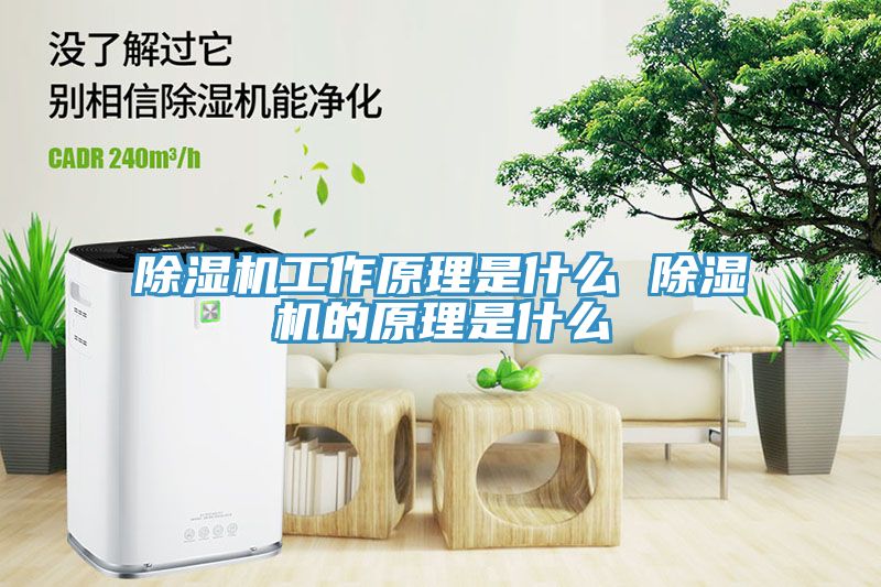 MR.好色破解版工作原理是什么 MR.好色破解版的原理是什么