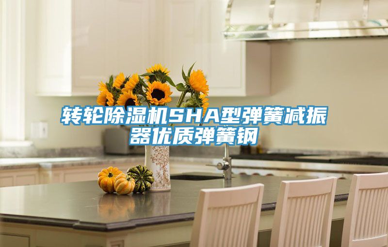 转轮MR.好色破解版SHA型弹簧减振器优质弹簧钢