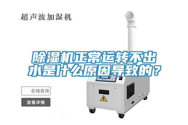 MR.好色破解版正常运转不出水是什么原因导致的？
