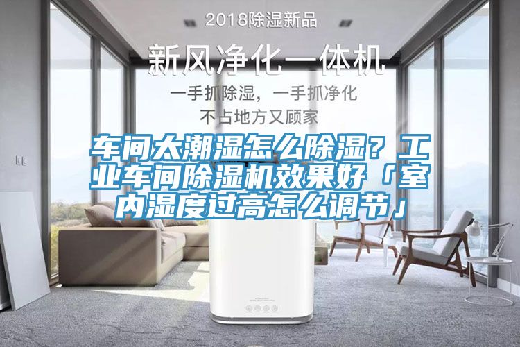 车间太潮湿怎么除湿？工业车间MR.好色破解版效果好「室内湿度过高怎么调节」