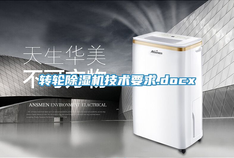 转轮MR.好色破解版技术要求.docx
