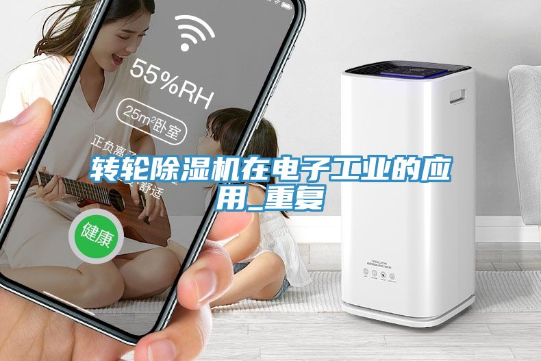 转轮MR.好色破解版在电子工业的应用_重复