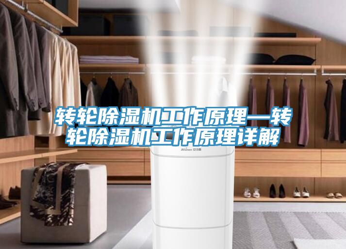 转轮MR.好色破解版工作原理—转轮MR.好色破解版工作原理详解