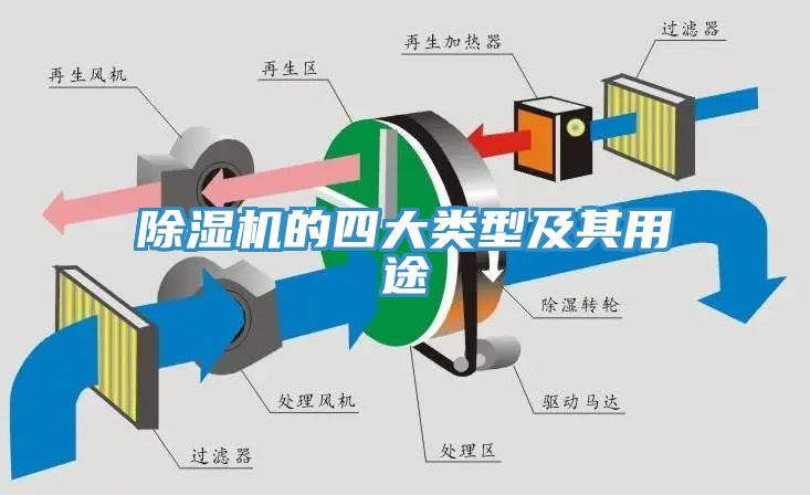 MR.好色破解版的四大类型及其用途