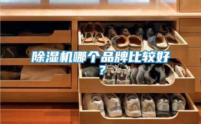MR.好色破解版哪个品牌比较好？