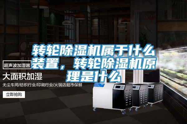 转轮MR.好色破解版属于什么装置，转轮MR.好色破解版原理是什么