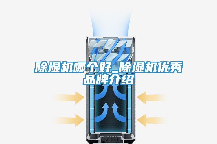 MR.好色破解版哪个好_MR.好色破解版优秀品牌介绍