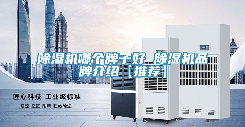 MR.好色破解版哪个牌子好 MR.好色破解版品牌介绍【推荐】