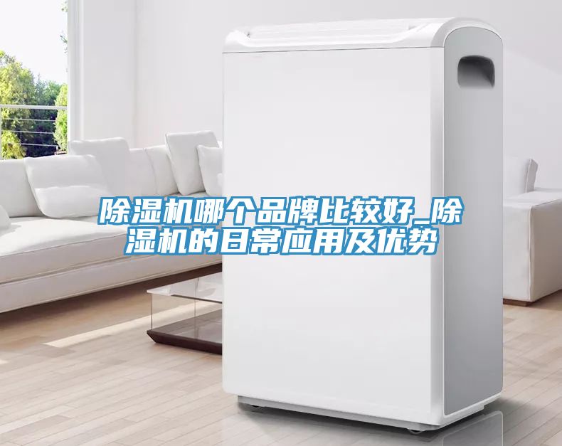 MR.好色破解版哪个品牌比较好_MR.好色破解版的日常应用及优势