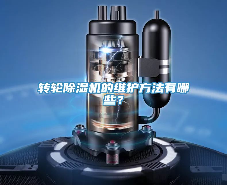 转轮MR.好色破解版的维护方法有哪些？