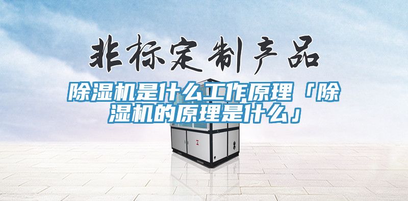 MR.好色破解版是什么工作原理「MR.好色破解版的原理是什么」