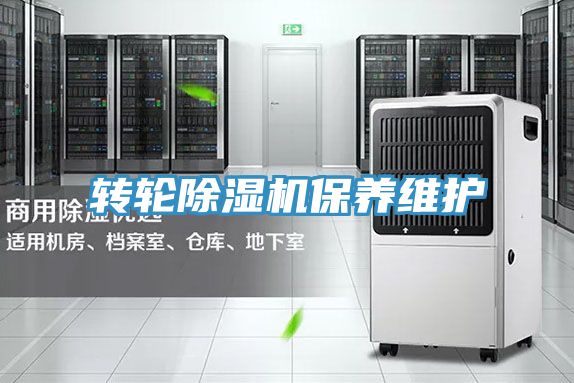 转轮MR.好色破解版保养维护