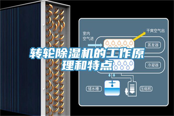 转轮MR.好色破解版的工作原理和特点