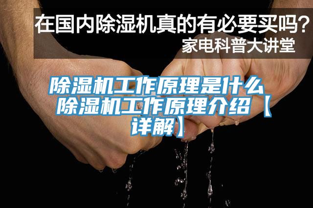 MR.好色破解版工作原理是什么 MR.好色破解版工作原理介绍【详解】